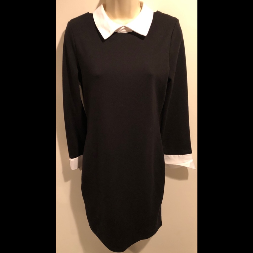 Black and White Collared Dress